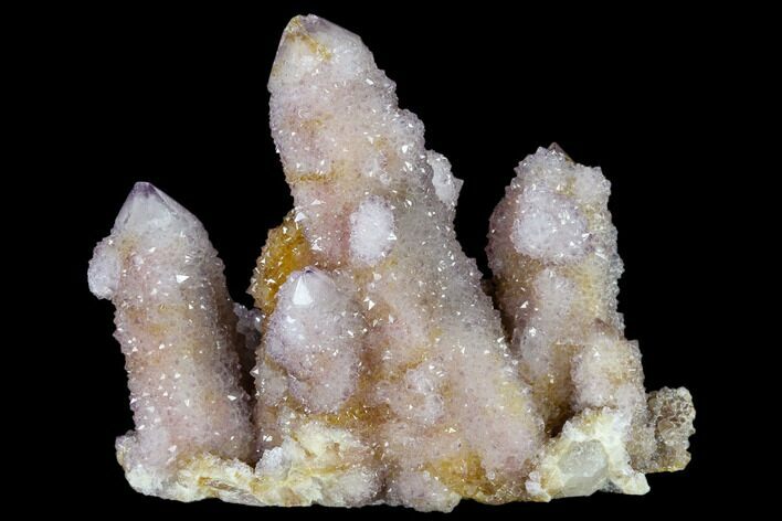 Cactus Quartz (Amethyst) Cluster - South Africa #115128